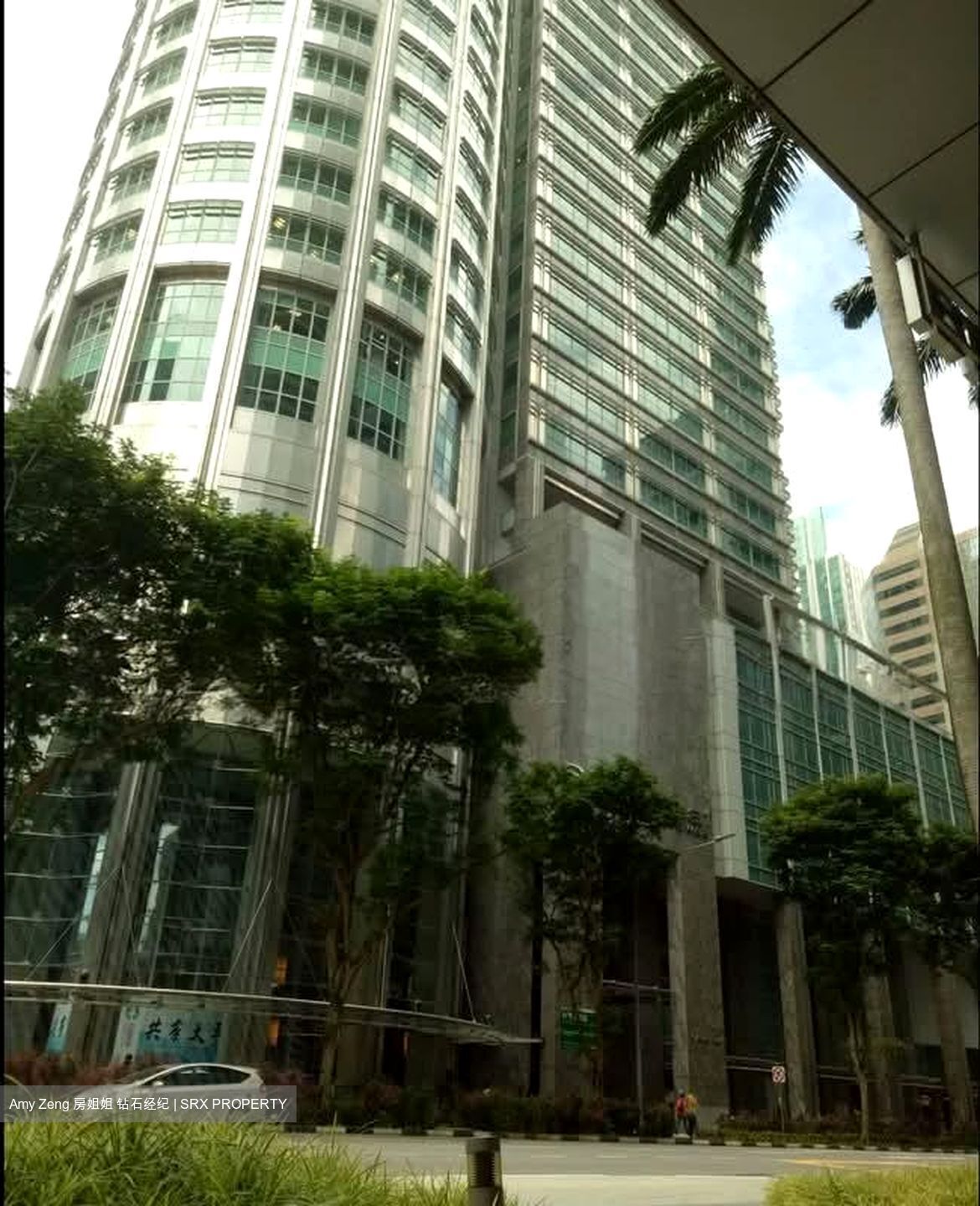 International Plaza (D2), Apartment #566728231